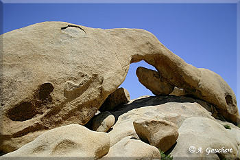 Elephant Rock